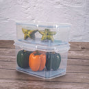 Food Storage Container for Fridge 135.25 fl oz Hermetic Closure Plasutil | BPA Free Plastic Refrigerator with Removable Drain & Lid