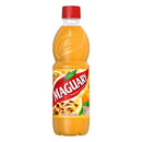 MAGUARY SUCO CONCENTRADO MARACUJA 500ML
