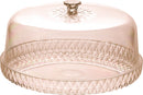 Plasutil Vintage Cake Tray with Lid and Cheese Storage Container | 2 Pieces | BPA Free